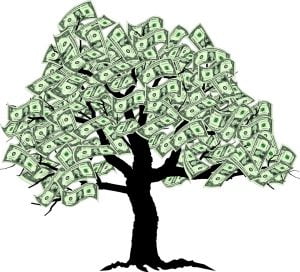 Employers: Our Attorneys Can Protect Your Money Tree